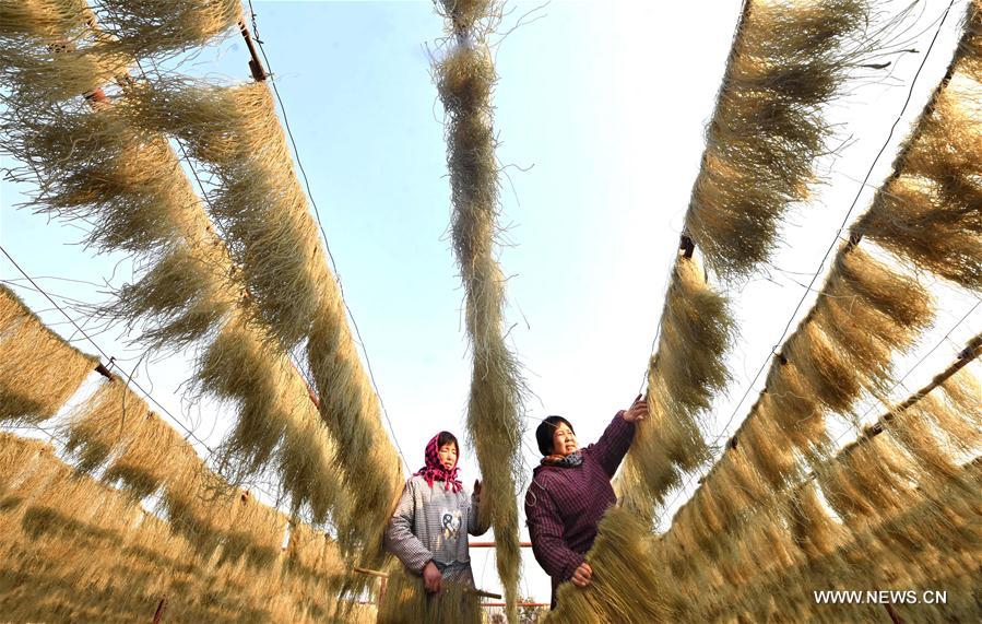 #CHINA-SHANDONG-VERMICELLI PRODUCTION (CN)