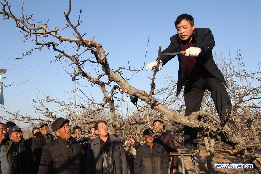 CHINA-HEBEI-AGRICULTURE(CN)