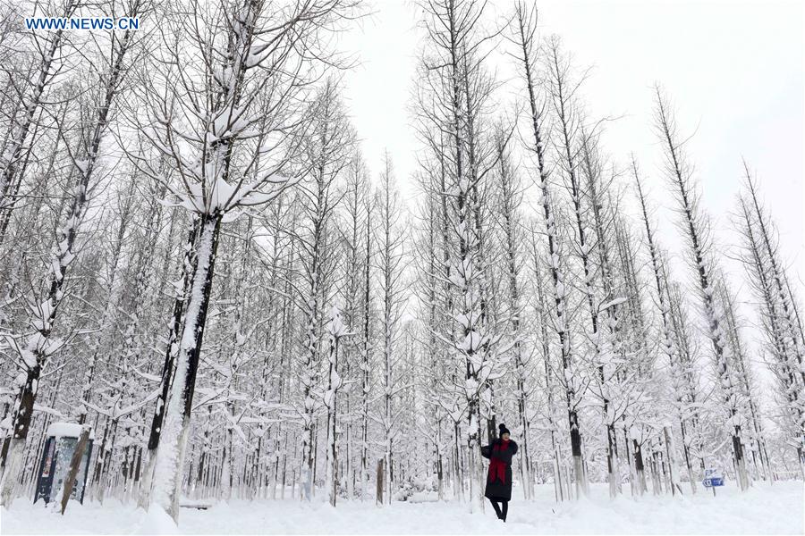 #CHINA-SNOWFALL (CN)