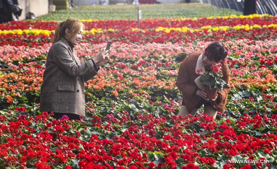 CHINA-HEBEI-FLOWER(CN)