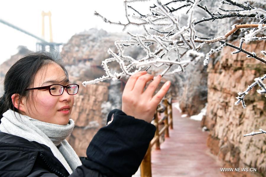 CHINA-HENAN-PINGDINGSHAN-FROST SCENERY (CN)