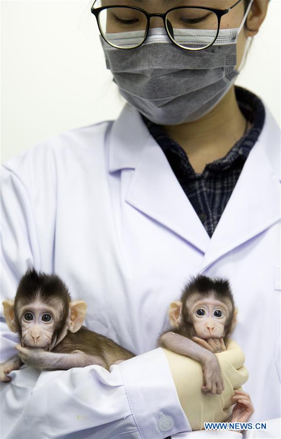 CHINA-BEIJING-CLONED MACAQUES-SUCCESS (CN)