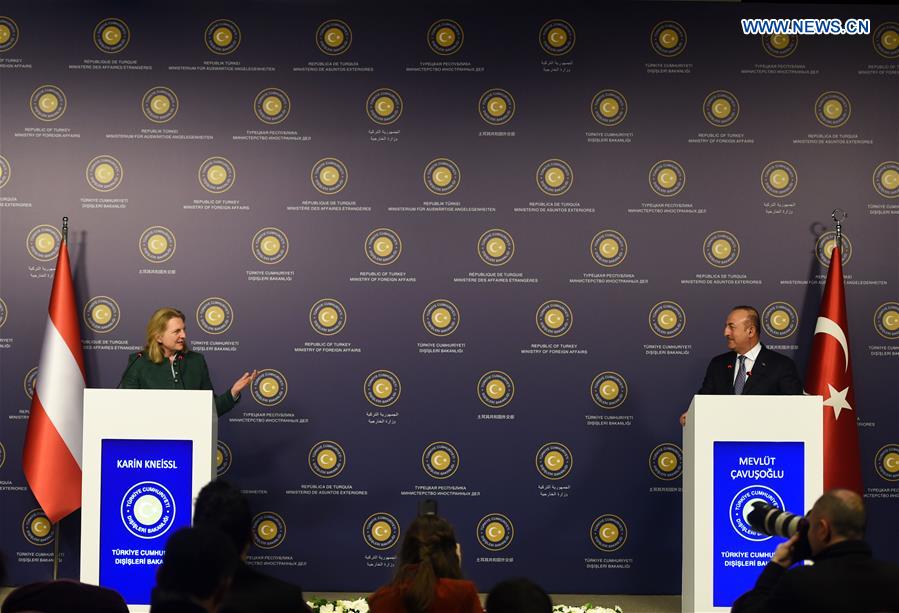 TURKEY-ISTANBUL-TURKEY-AUSTRIA-FMS-PRESS CONFERENCE