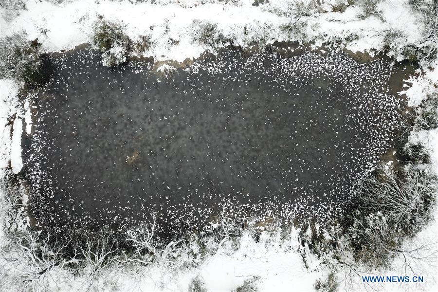 CHINA-HANGZHOU-XIXI WETLAND-SNOWFALL (CN)