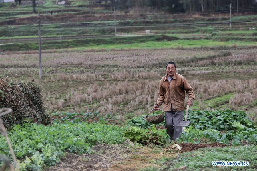 CHINA-JINGZHE-FARM WORK (CN) 