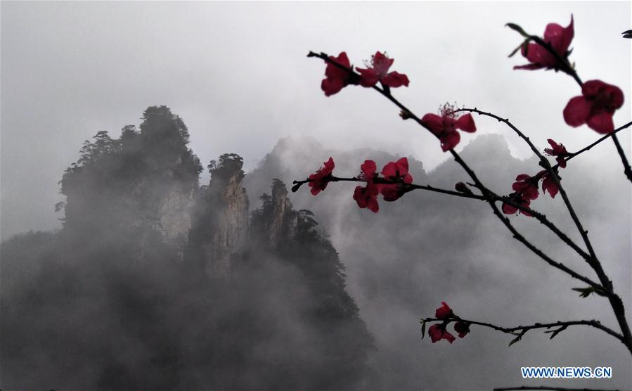 #CHINA-HUNAN-ZHANGJIAJIE-SCENERY (CN)