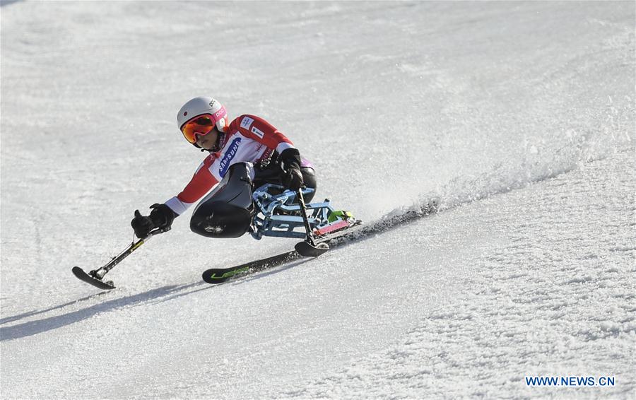 (SP)OLY-PARALYMPIC-SOUTH KOREA-PYEONGCHANG-ALPINE SKIING-WOMEN'S SLALOM SITTING