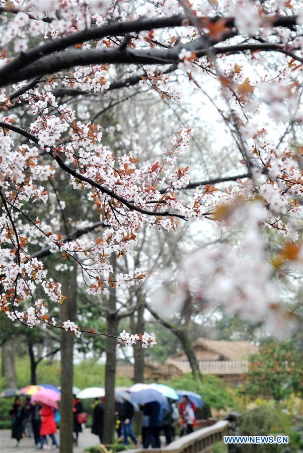 #CHINA-SPRING-SCENERY (CN)