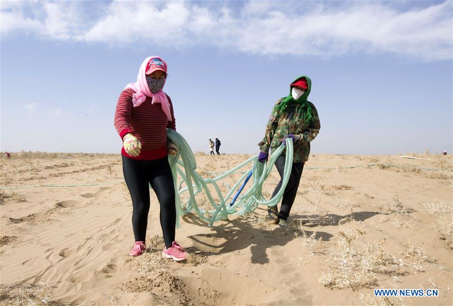 CHINA-INNER MONGOLIA-DESERT-GREENING (CN)