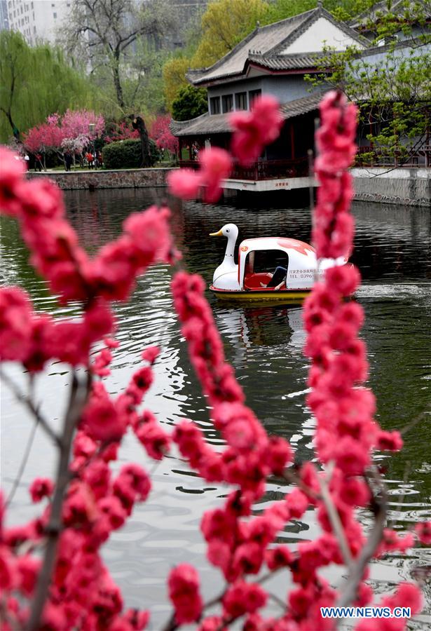 CHINA-HENAN-ZHENGZHOU-SCENERY (CN)