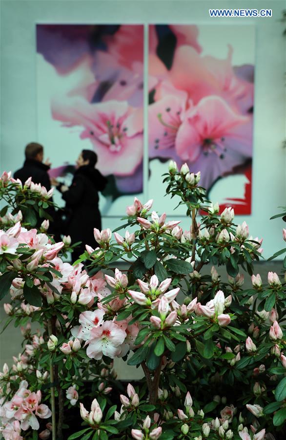 GERMANY-FRANKFURT-FLOWER EXHIBITION