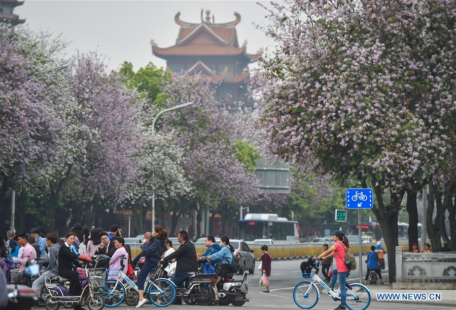 CHINA-FUZHOU-SPRING VIEWS (CN)