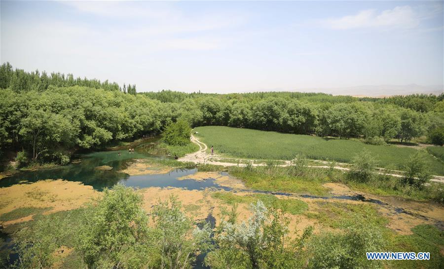 AFGHANISTAN-BALKH-EARTH DAY