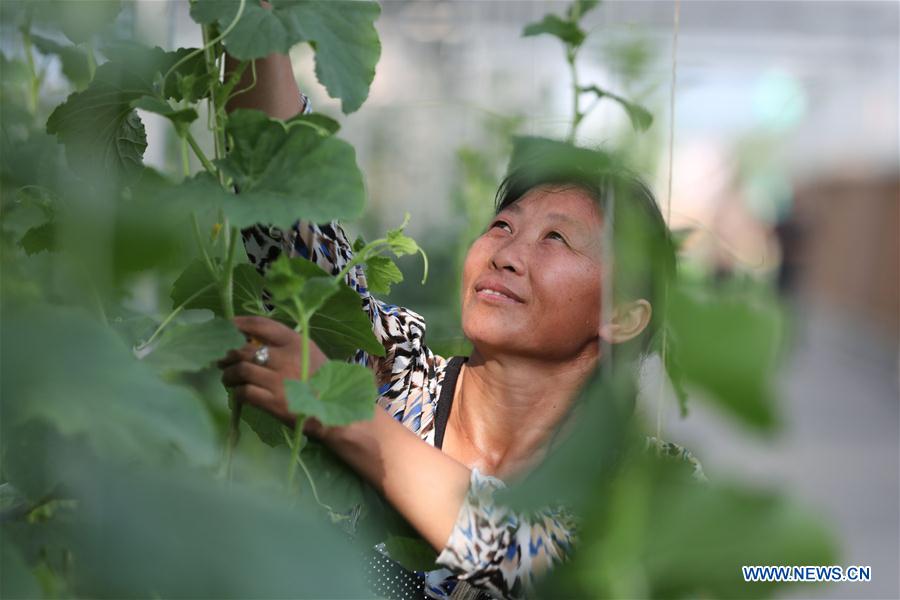 CHINA-GUIZHOU-FARM WORK (CN)