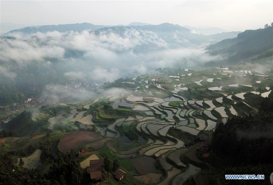 CHINA-GUIZHOU-LIPING-TRADITIONAL PLOUGH (CN)