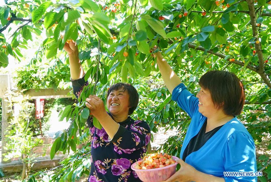 CHINA-HEBEI-QIANNANYU VILLAGE-GREEN INDUSTRY (CN)