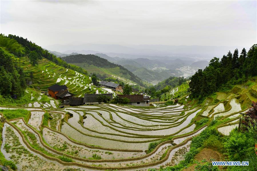 #CHINA-HUNAN-ZIQUEJIE TERRACED FIELDS-FARM STAY (CN*)