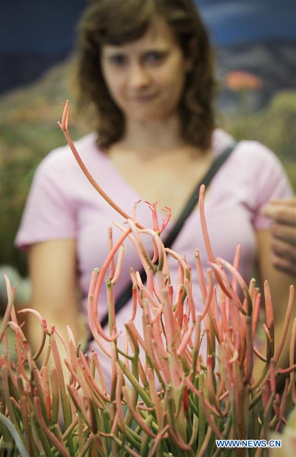 CANADA-VANCOUVER-DESERT PLANT SHOW