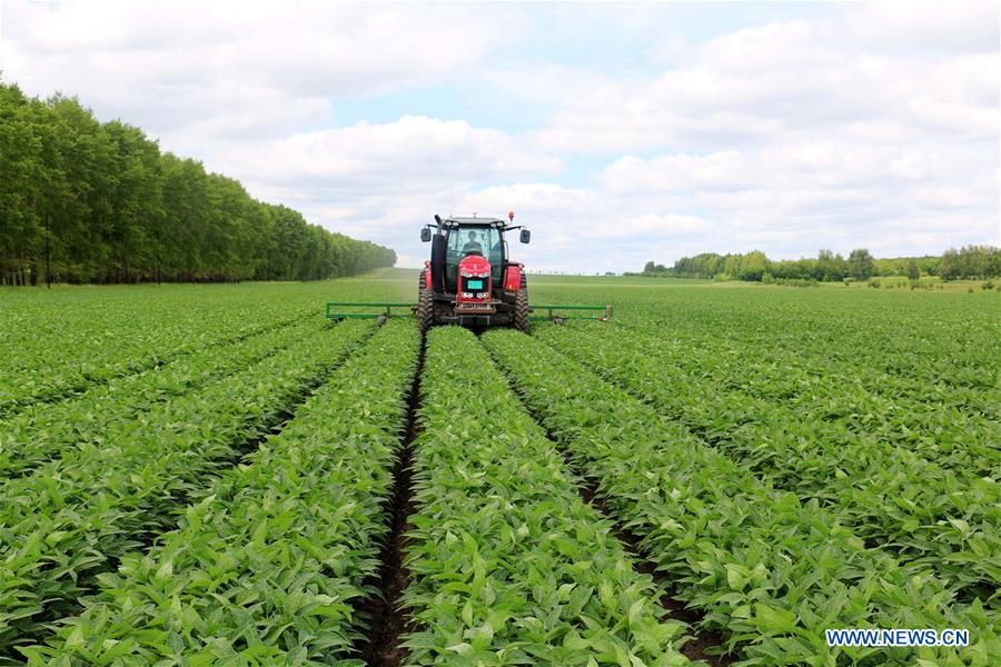 #CHINA-SUMMER-FARM WORK (CN)