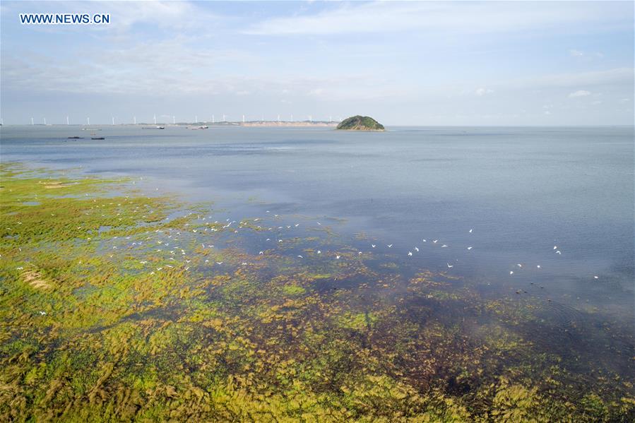 #CHINA-WETLAND PROTECTION (CN)