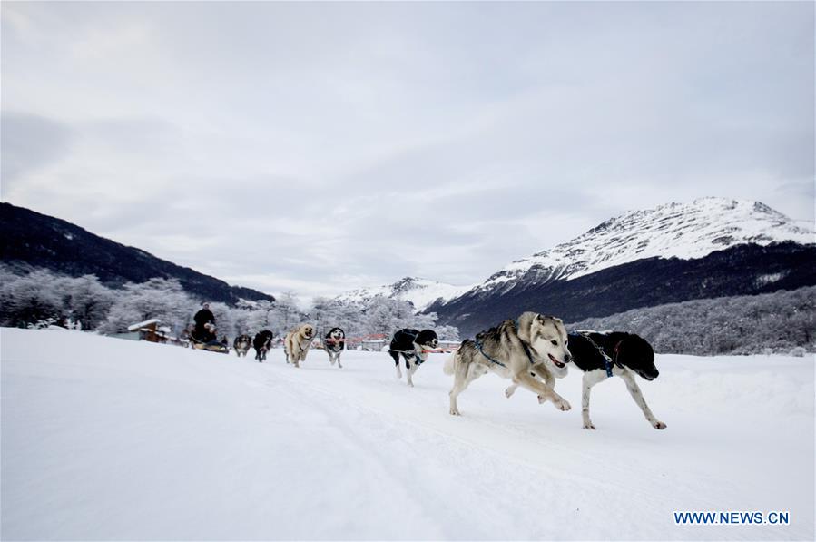 ARGENTINA-USHUAIA-SLEDGES