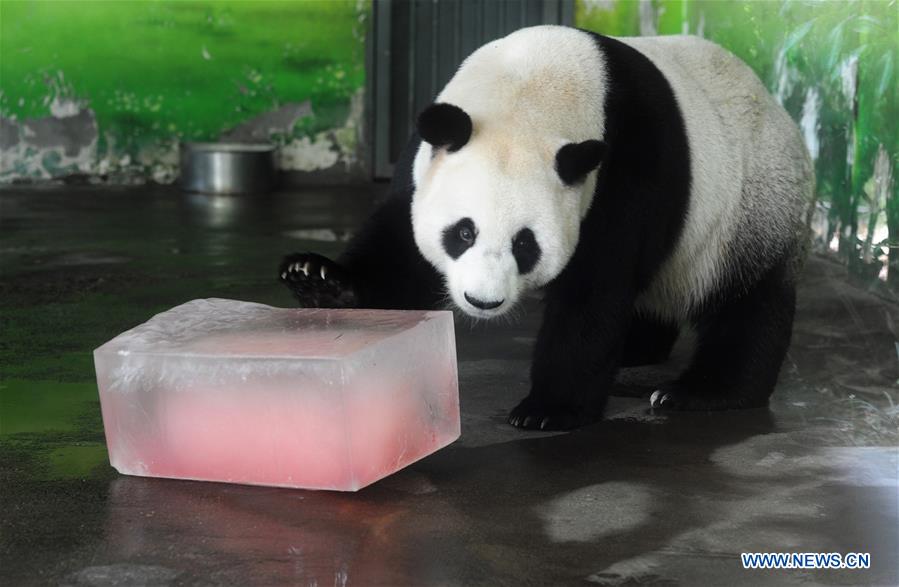 #CHINA-ZOO-ANIMALS-COOL OFF (CN)