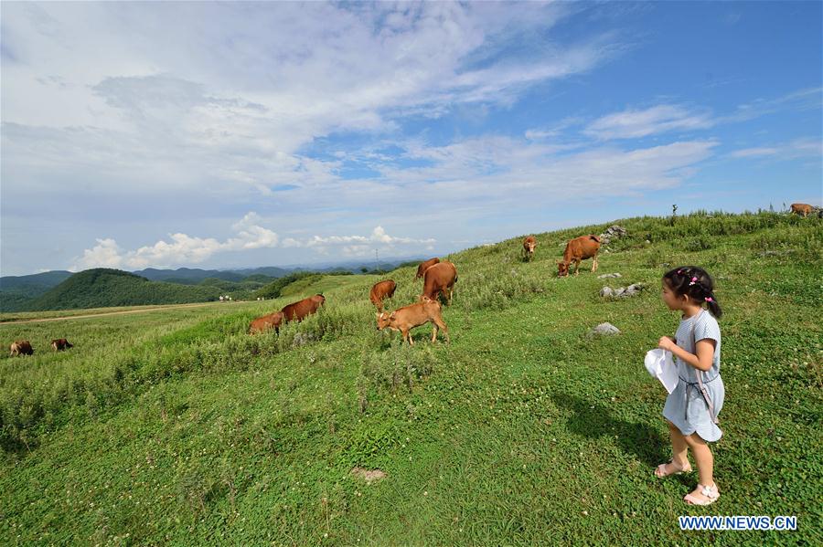 #CHINA-HUBEI-GRASSLAND (CN)