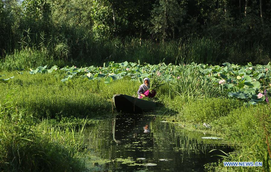 INDIAN-CONTROLLED KASHMIR-SRINAGAR-DAILY LIFE