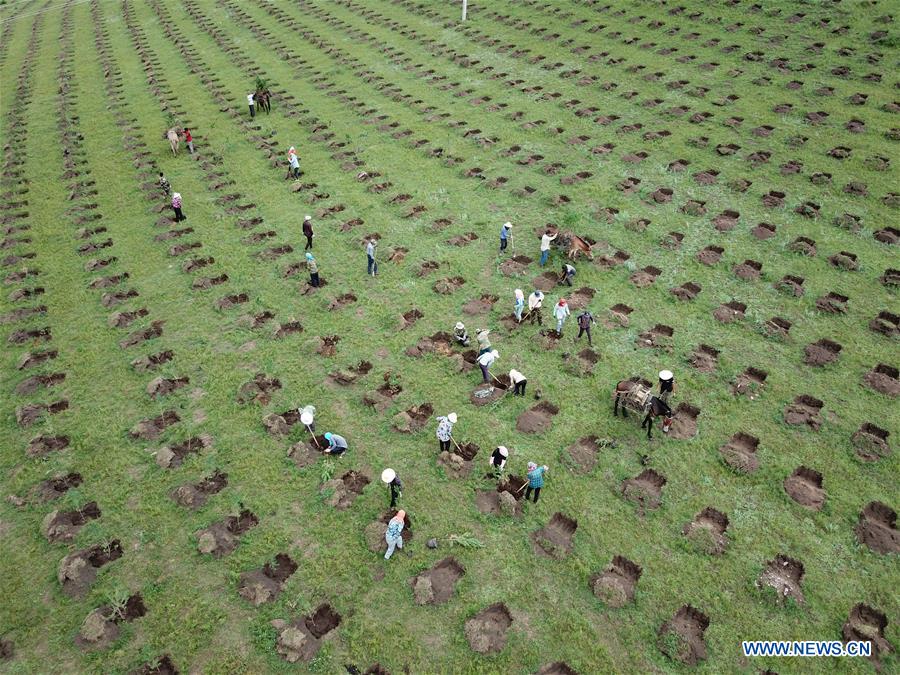 #CHINA-HEBEI-FENGNING-AFFORESTATION (CN)