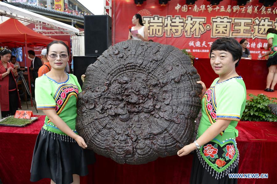 #CHINA-YUNNAN-WILD FUNGUS FOOD CULTURE FESTIVAL (CN*)