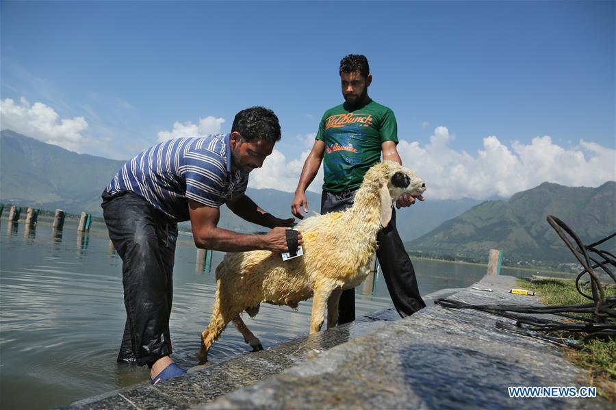 KASHMIR-SRINAGAR-DAILY LIFE