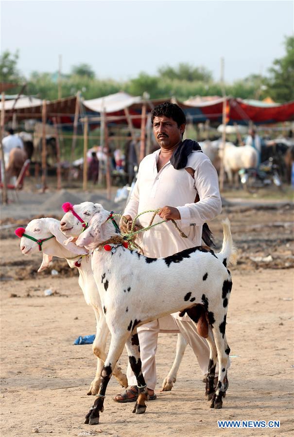 PAKISTAN-ISLAMABAD-EID AL-ADHA-LIVESTOCK MARKET