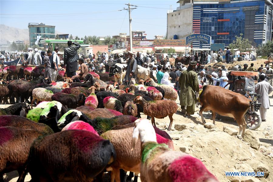 AFGHANISTAN-KABUL-EID AL-ADHA 