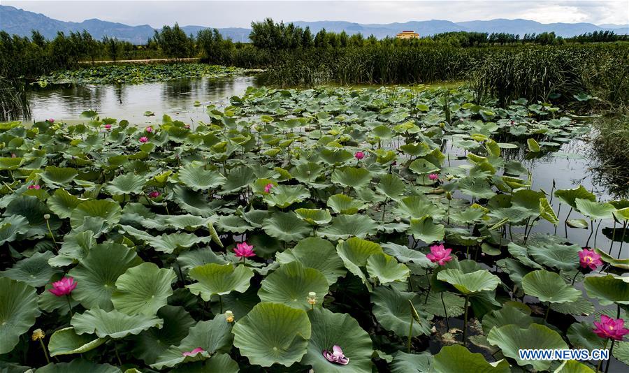 CHINA-SHANXI-HULIUHE WETLAND-SCENERY (CN)