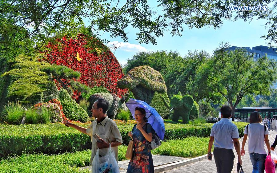 CHINA-BEIJING-FOCAC-PREPARATION-PARTERRE (CN)