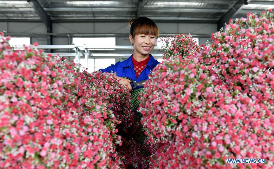 CHINA-NINGXIA-GUYUAN-ARTIFICIAL FLOWER (CN)