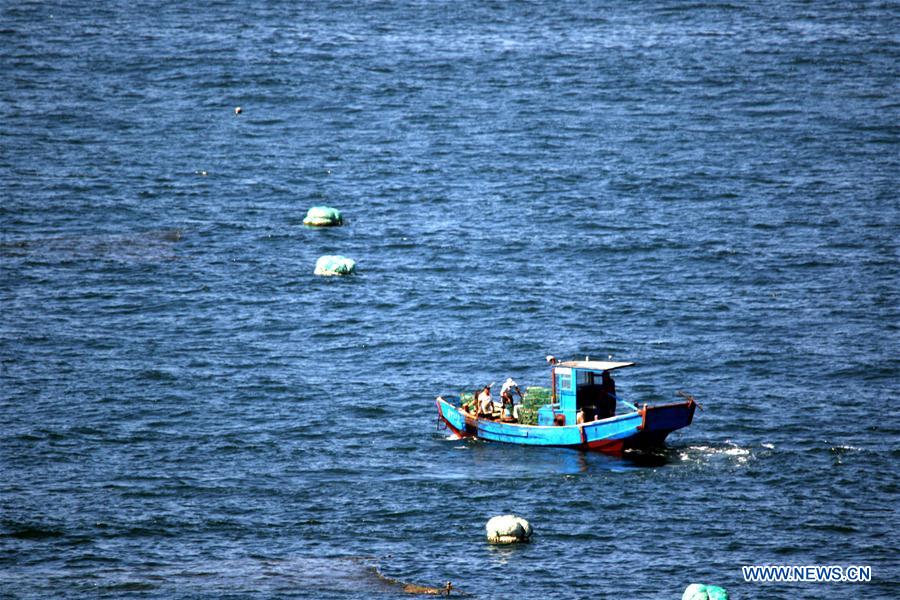 #CHINA-SHANDONG-YANTAI-FISHING BAN-END (CN)