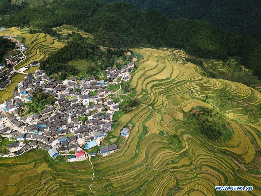 #CHINA-TERRACED FIELDS-AUTUMN SCENERY(CN)