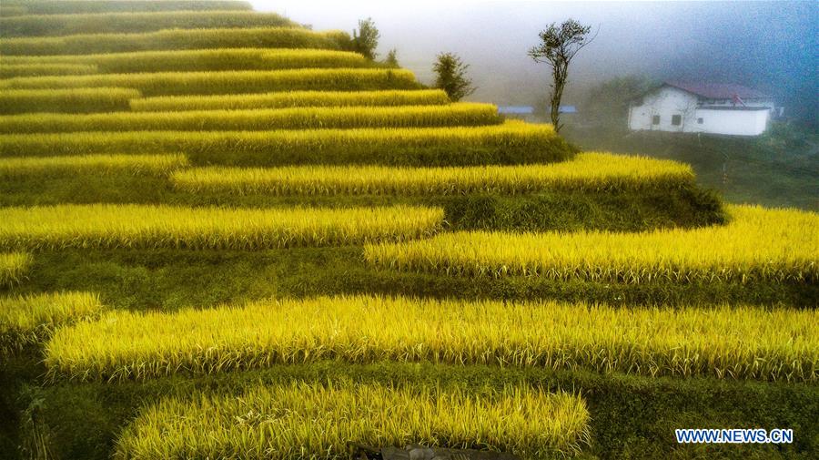 CHINA-SHAANXI-TERRACED FIELDS (CE)