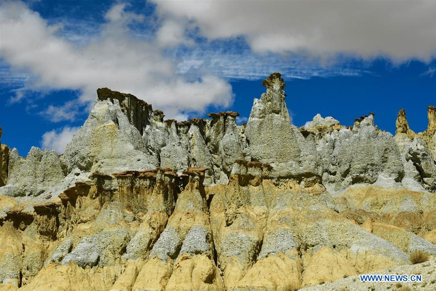 CHINA-TIBET-ALI-SCENERY-EARTH FOREST (CN)