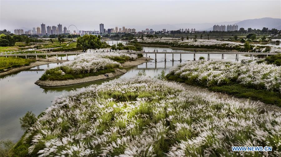 CHINA-SHAANXI-HANJIANG RIVER-WETLAND (CN)