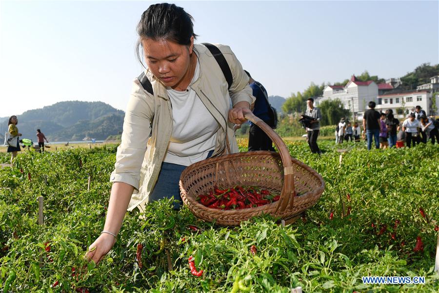 CHINA-ZHEJIANG-HARVEST CELEBRATION-TOURISM (CN)