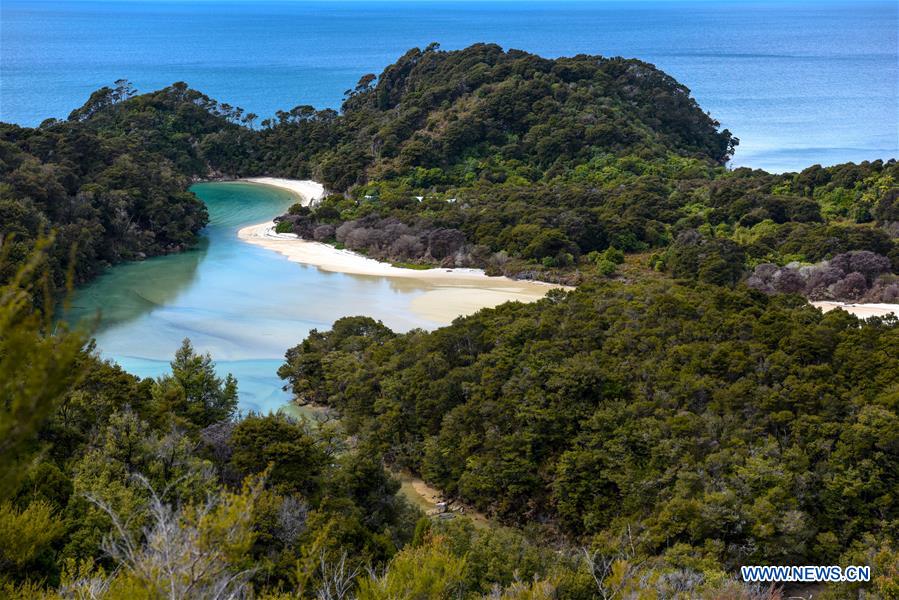 NEW ZEALAND-ABEL TASMAN NATIONAL PARK-DAILY LIFE