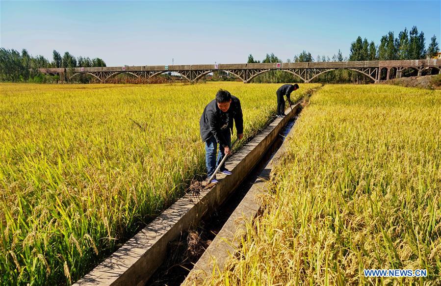 CHINA-HEBEI-LULONG-IRRIGATION SYSTEM (CN)