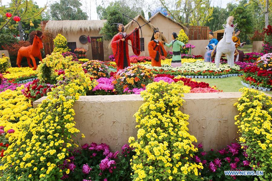 #CHINA-JIANGSU-CHRYSANTHEMUM-SHOW (CN)