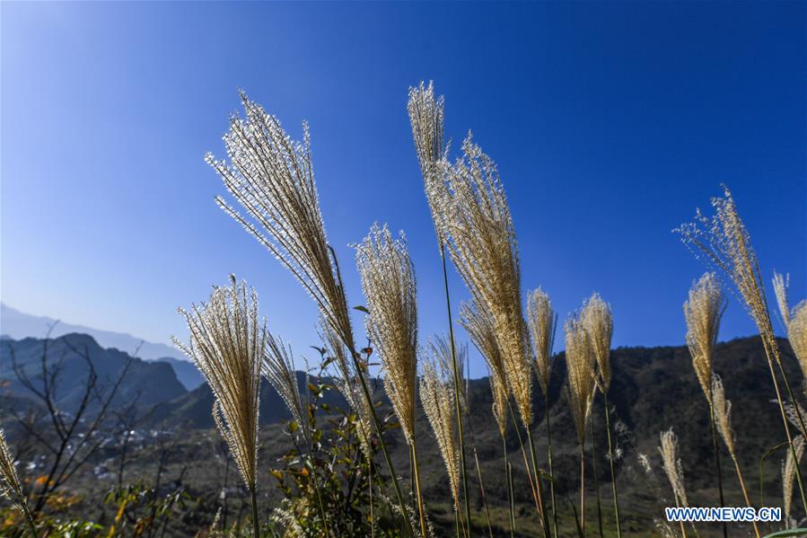 CHINA-ZHEJIANG-ANCIENT TRADE ROUTE-TOURISM (CN)