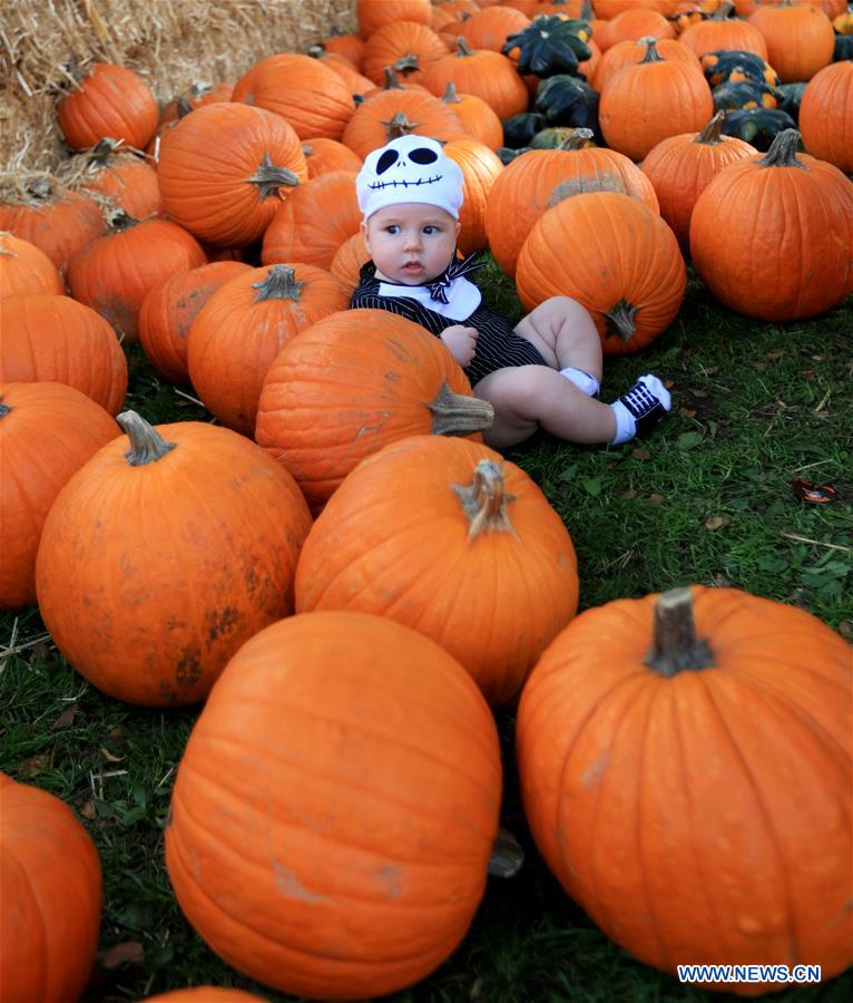 U.S.-LOS ANGELES-PUMPKIN FESTIVAL