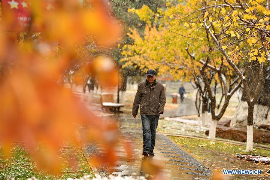 CHINA-JILIN-WEATHER-SNOWFALL (CN)