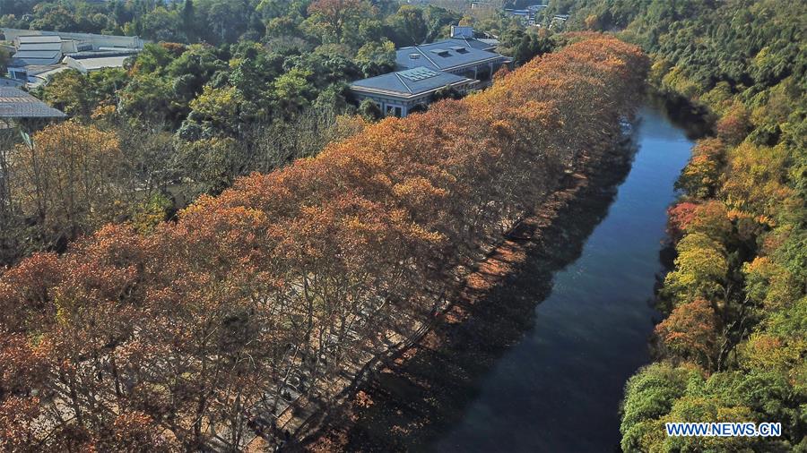 CHINA-GUIZHOU-GUIYANG-WETLAND PARK-AUTUMN SCENERY (CN)