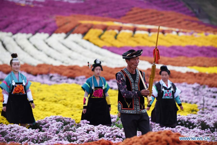 CHINA-GUIZHOU-CHRYSANTHEMUM-TOURISM (CN)